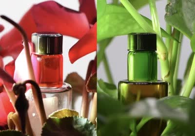 scientists china military invisible materials