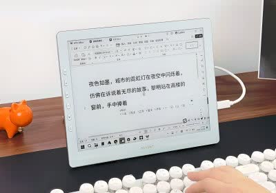 e-ink dasung