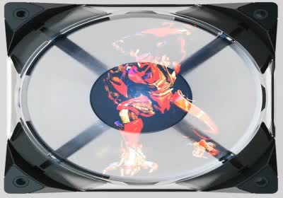 coolify holo fans