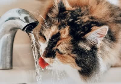 breakthrough research filter water chemical