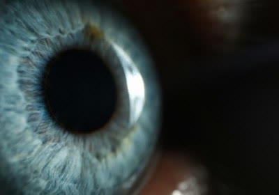 scientists claim color lytro light with video