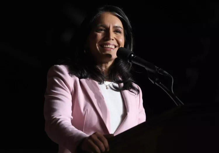 intelligence director tulsi gabbard government