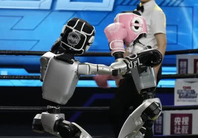 china robots boxing with video