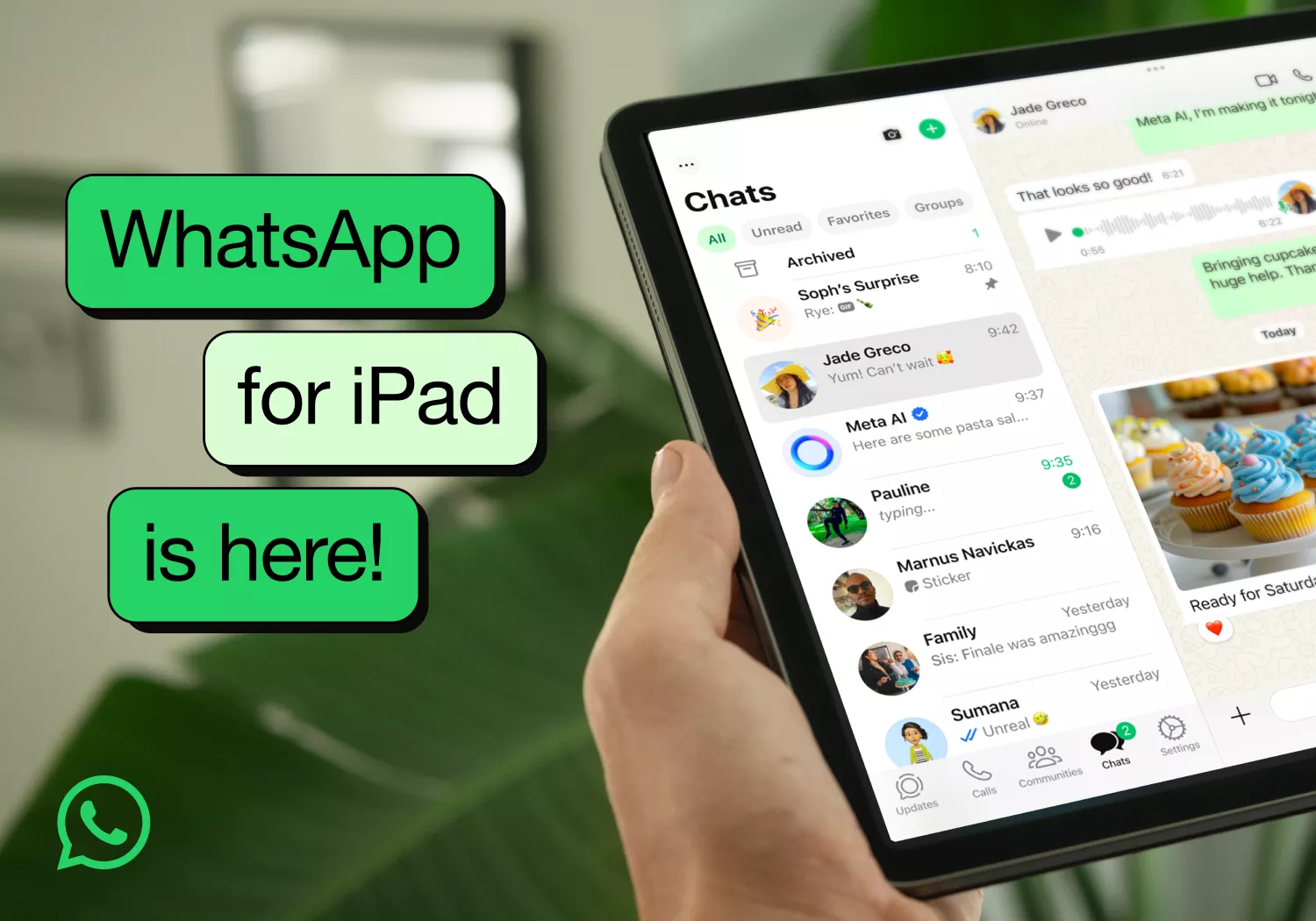 WhatsApp is now available on iPad