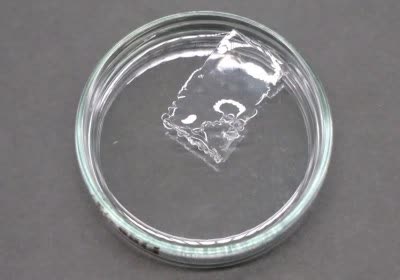 environment pollution microplastics nanoplastics japan