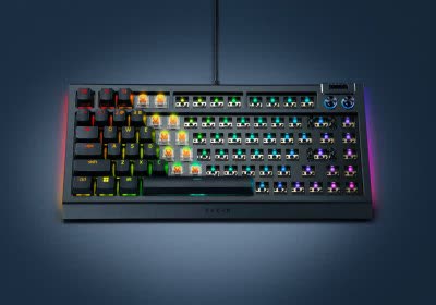 razer blackwidow v4 keyboard barebones kit