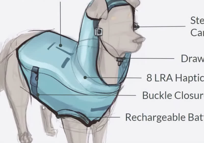 Rice University students design high-tech vest to help blind dogs navigate