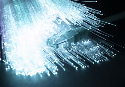 states fiber