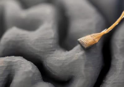 brain davis research interface university of california speech implant