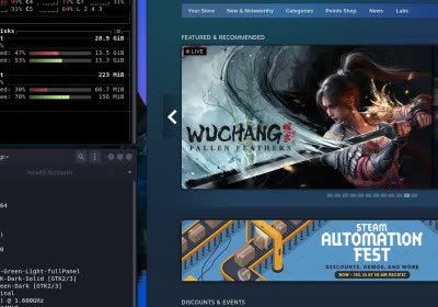 steam aaa risc-v linux