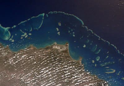 australia great barrier reef environment coral reefs global warming coral bleaching