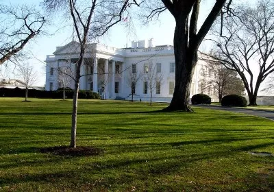 white house nvidia amd
