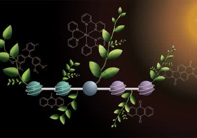 researchers research solar clean energy solar energy photosynthesis