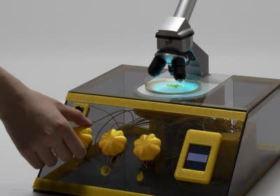 slimemoldcrypt slime mold biology encryption speculative design
