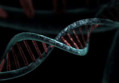 dna sequencing metagraph eth zurich switzerland search