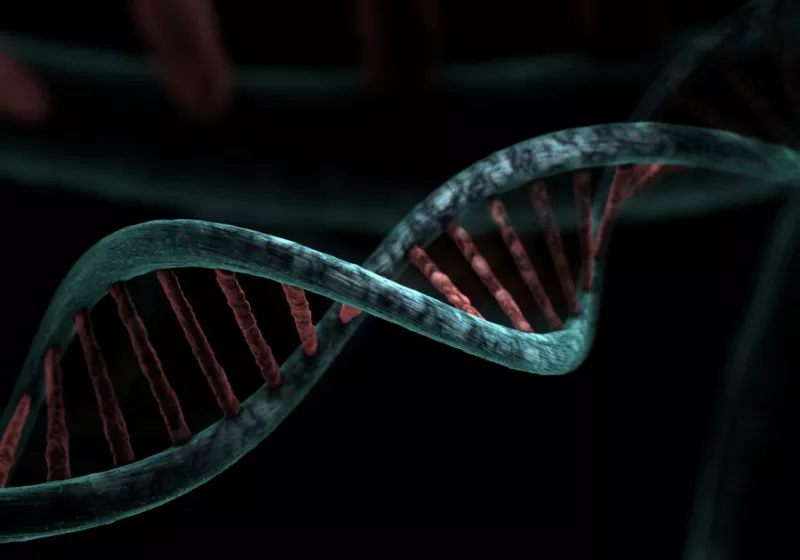 MetaGraph is like Google for DNA, just more compressed and jam-packed with genomic data