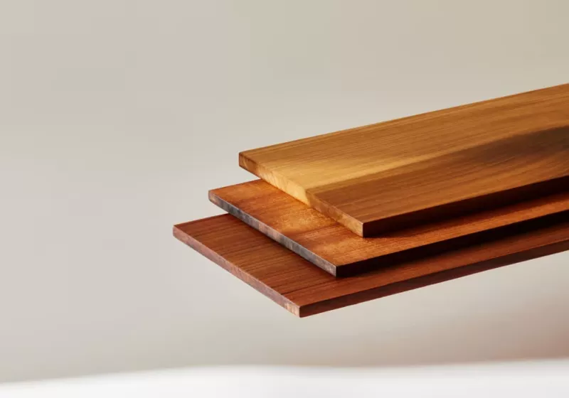 Superwood has arrived &ndash; wood up to ten times stronger than steel and six times lighter