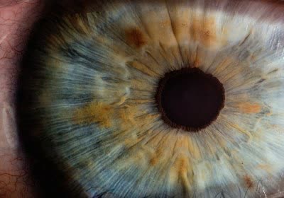 video chip research healthcare blind smart glasses bionics