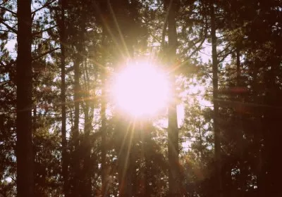 ultraviolet skin cancer photodetector south korea