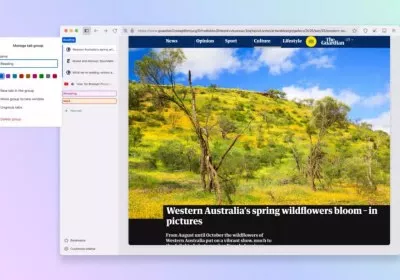 tor browser security browser