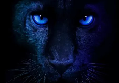 intel core ultra series panther lake cpus ces cpu