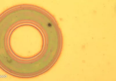 material design artificial skin stanford robots octopus electron microscopy litography