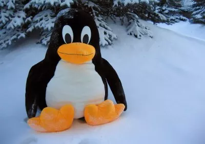 photoshop linux wine adobe creative cloud image editing open source