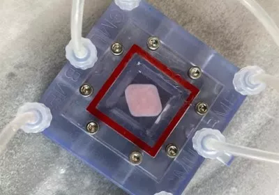 scientists research carnegie mellon university 3d printing bioprinting with video