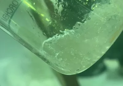 chemical pollution forever chemicals environment