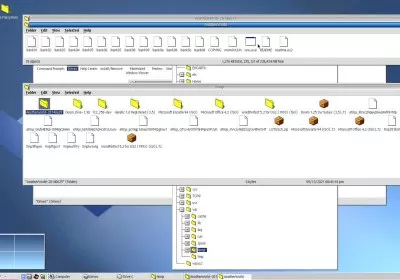 arcaos operating system ibm microsoft os/2