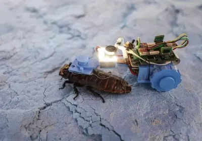 scientists infrastructure singapore robots insects