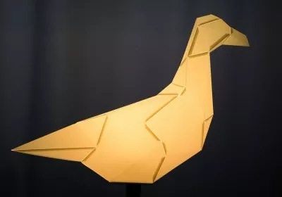 researchers research flight drones birds