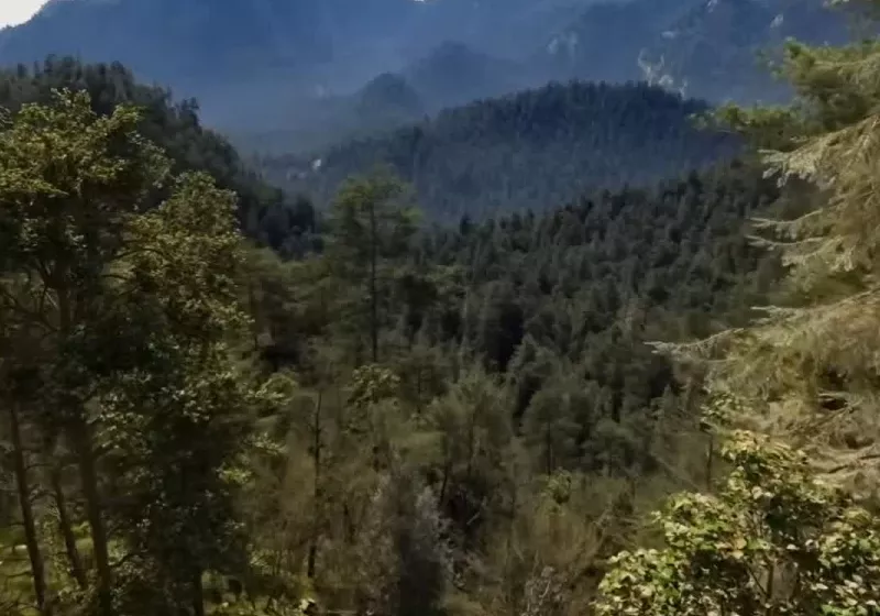 Nvidia shows The Witcher 4 forest demo running path tracing on an RTX 4070