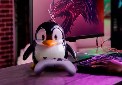 valve proton linux wine compatibility