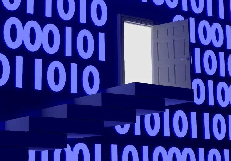 cisco juniper fortinet war hacking backdoor security