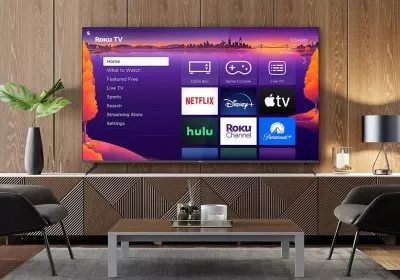 roku tcl tvs lawsuit tv brick