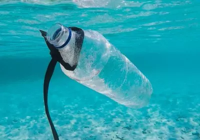scientists environment biodegradable plastics