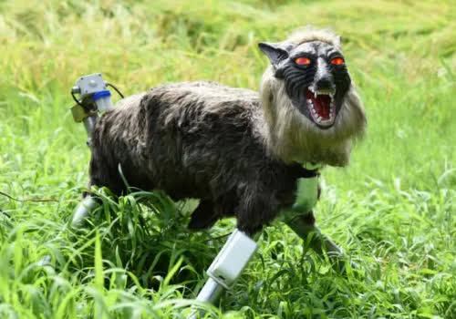 Demand for Japan's robotic Monster Wolves explodes amid record bear attacks