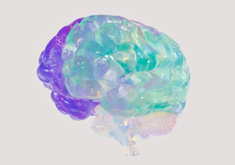 south korea shopping fake addiction wtf psychology dopamine brain