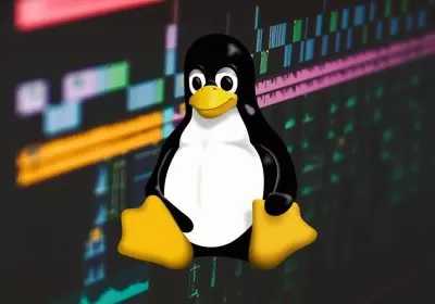 linux bugs kernel bug bounty operating system software