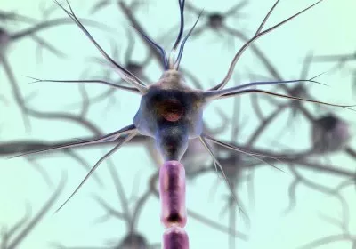 brain biology healthcare stem cells