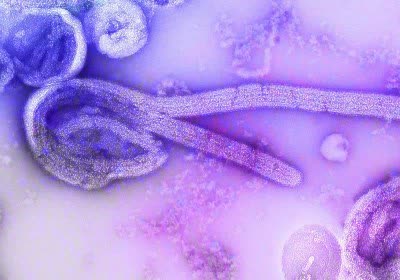 research battery virus future genetics power electricity doe with video