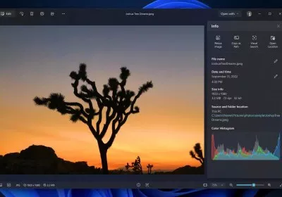 windows photos optimization windows 11